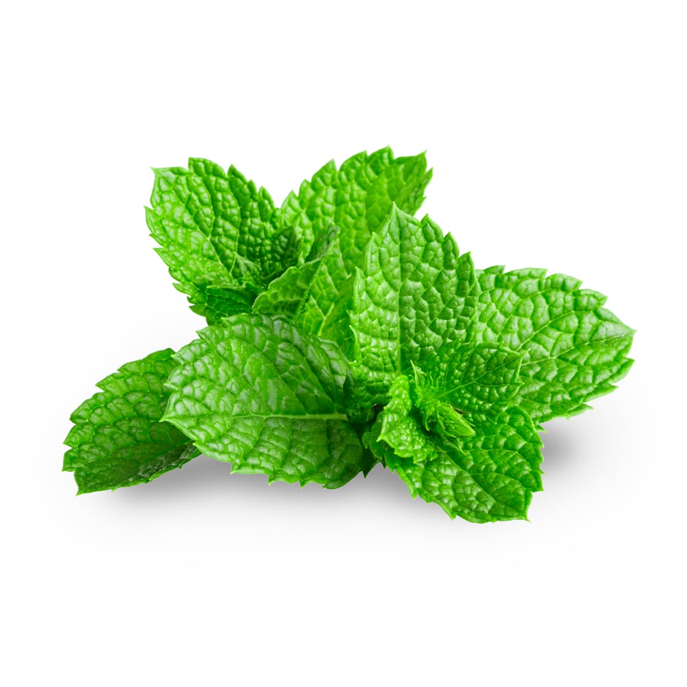 Relieve & Relax Gel Peppermint Ingredient